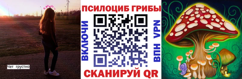 Галлюциногенные грибы Cubensis  купить   Каневская 